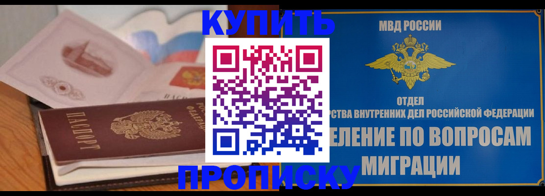 прописка законно в Сураже